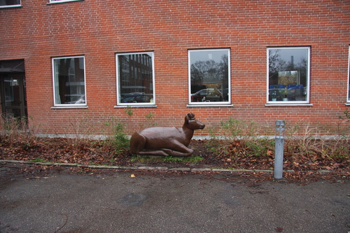 Liggende RÅDYR-BUK