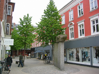 Odense Oerntoft (2)